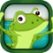 A Fun Frog Jump - Crazy Time Spring Hop Adventure