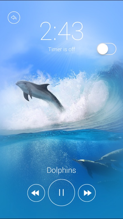 Voice Of Nature – background music for relaxation and meditation screenshot-4
