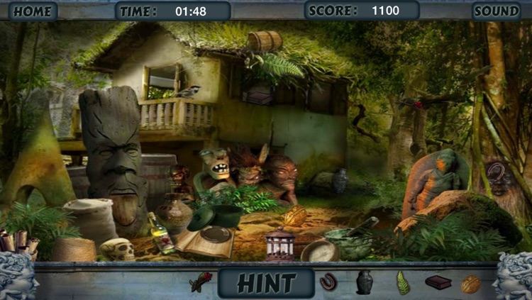 Fortune Teller History Hidden Objects screenshot-3