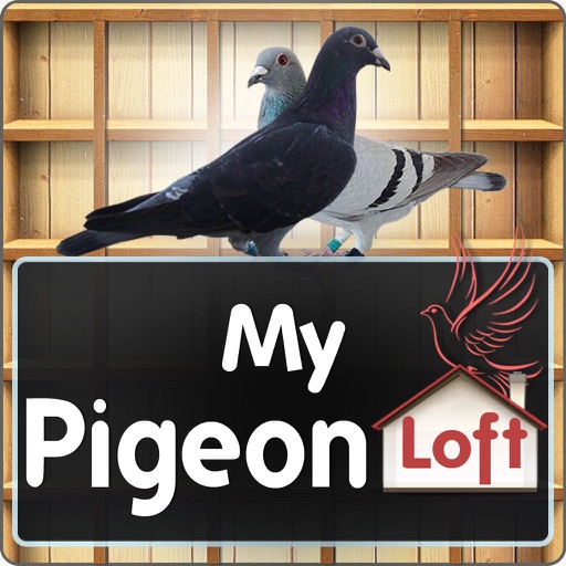 My Pigeon Loft Cloud Edition icon