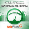 AV for WaveLab - Editing and Metering