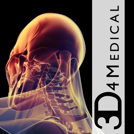 3D4Medical Images & Animations