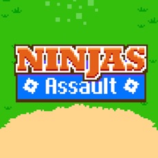 Activities of Ninja assault!