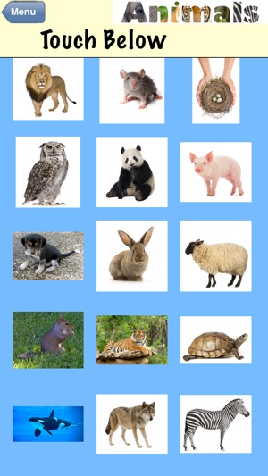 DTT Animals(圖4)-速報App