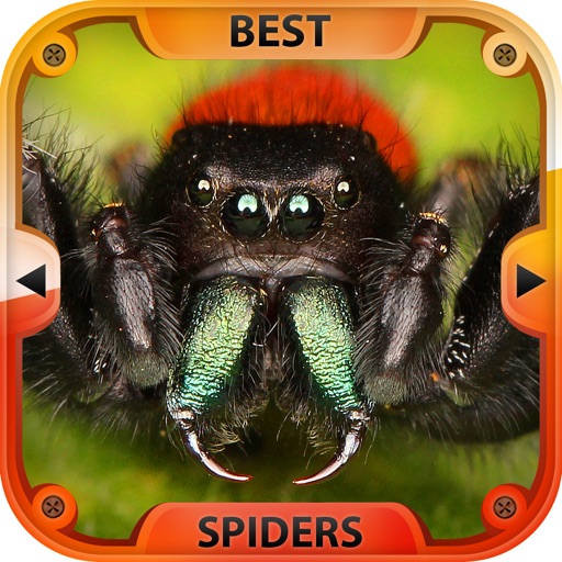 The Best Spiders iOS App