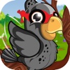 Floppy Hungry Ninja Bird - Fun Puzzle Feeding Game Free