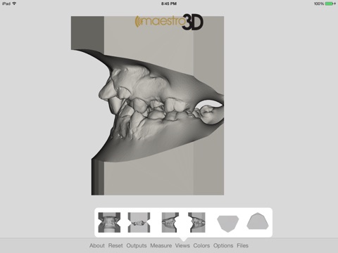 Maestro 3D Viewer screenshot 2