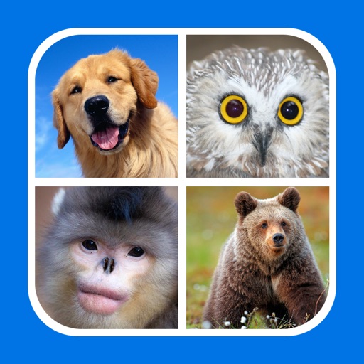 Close Up The Animals iOS App