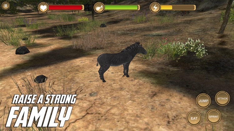 Zebra Simulator HD Animal Life screenshot-4