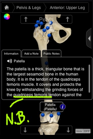 Skeleton System Pro III-iPhone screenshot 2