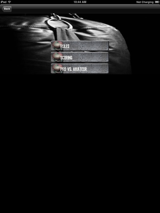 Boxing Fight Night Pro screenshot-3