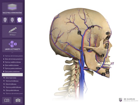 Interaktywna Anatomia screenshot 2