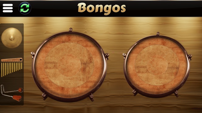 Garage Virtual Congas & Bongos(圖3)-速報App
