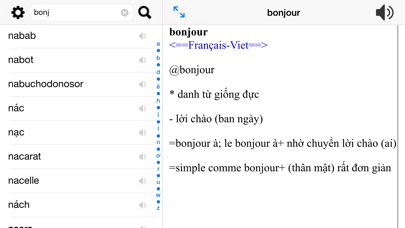 How to cancel & delete Bamboo Dict French-Vietnamese All In One from iphone & ipad 3