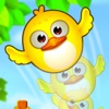 Pretty Bubble Forest Bird:  A Yellow Flying Birds Puzzle Games