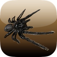 What Do You Fear The Most?