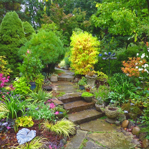 Garden Designer Expert