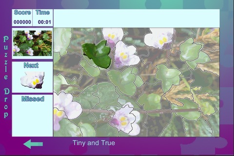 Puzzle Drop - Flower Set screenshot 3