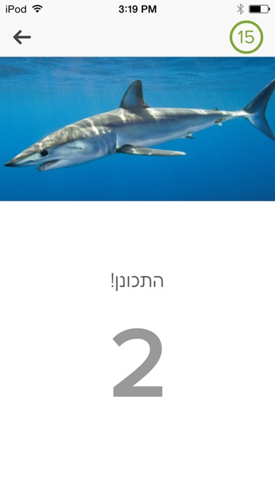 Planet Shark - עולם הכרישים Screenshot 3