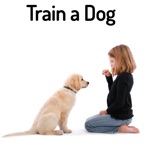 How To Train a Dog - Dog Training Guide