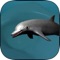 Use your sonar and complete the quests, be alive one more day in the dolphins sea world