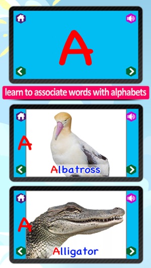 Animal alphabet for kids, Learn Alphabets with animal sounds(圖5)-速報App