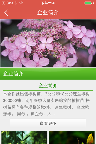 中国花木APP screenshot 4