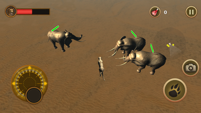 Cheetah Chase screenshot1