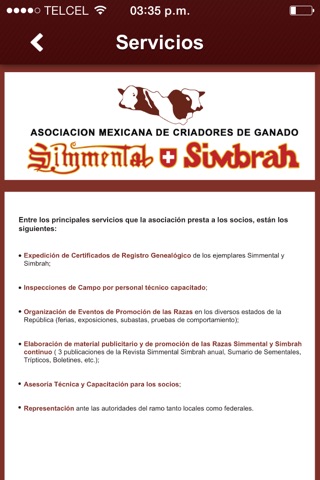 Simmental Simbrah Mexico screenshot 2