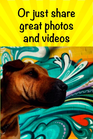 PetStars, the best social network for your pet photos screenshot 2