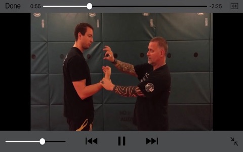 Krav Maga 3 screenshot 2