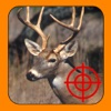 White Tail Deer Hunt