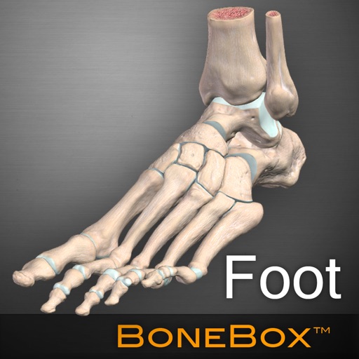 BoneBox Foot