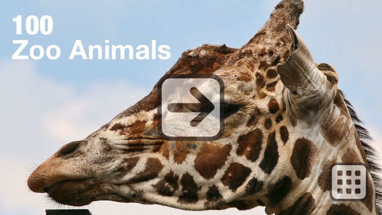 100 Things: Zoo Animals - Video & Picture Book for Toddlers screenshot-3