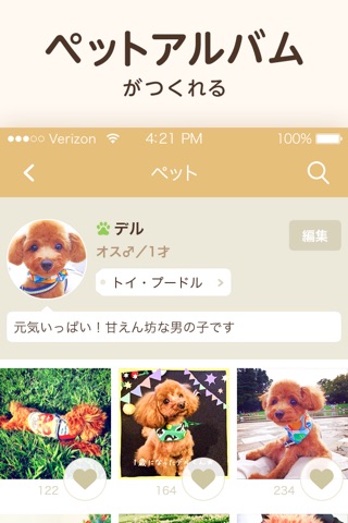パシャっとmyペット〜可愛いペットの写真共有SNS〜 screenshot 4