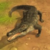 Crocodile Attack 3D Pro