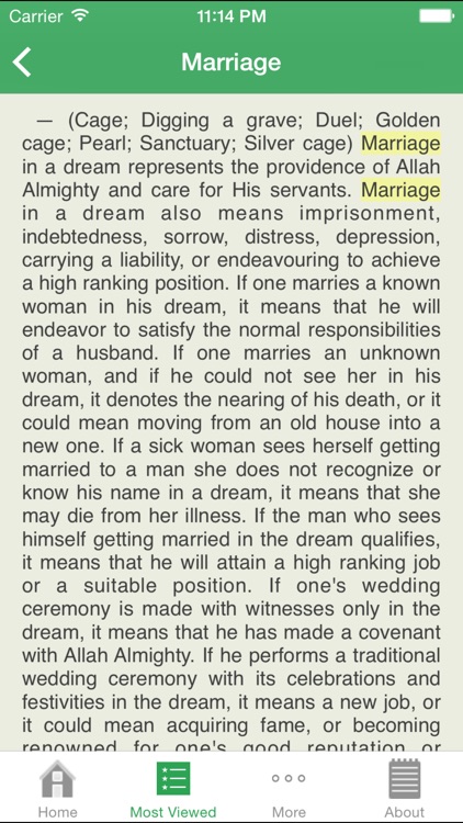 iDream Meaning screenshot-4