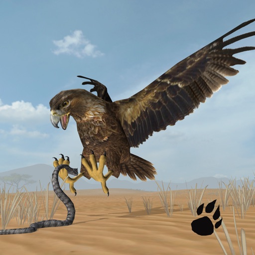 eagle simulator videos
