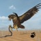 Control this huge Desert Eagle as he takes flight across this massive open world desert