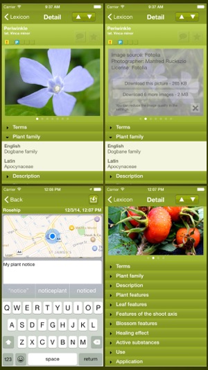 Medicinal Plant Lexicon Light(圖3)-速報App