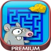 Laberintos – juegos de lógica para niños - Premium