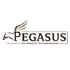 Pegasus