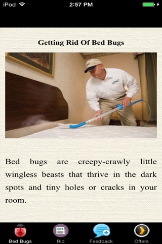 Getting Rid Of Bed Bugs - Pest-free Home screenshot 2