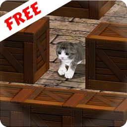 Cu Cat in Slide The Walls 3D Free