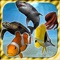 my Fish 3D Virtual Aquarium (Gold Edition)