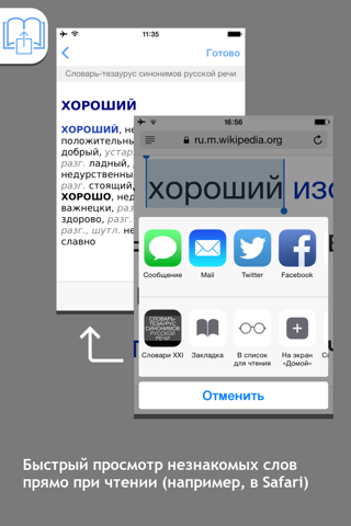 Словарь синонимов русского языка | Словари XXI века screenshot 2