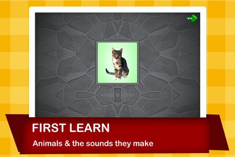 Animal Calls screenshot 2