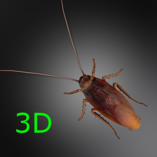 Roach3d Icon