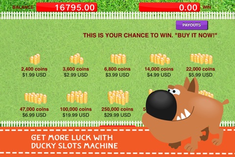 Amusing Doggies Dog - Keno Slot Machine Free screenshot 3