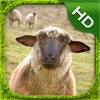 Sheep Simulator - HD